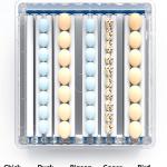 Egg Incubators 200 Eggs