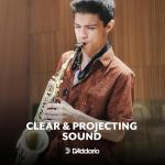 D’Addario Woodwinds, Rico Saxophone Reeds, Alto Sax, RJA1025, Strength 2.5, 10-Pack