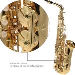 Alto Saxophone Brass Lacquered Gold E Flat Sax 802 Key Type Woodwind Instrument