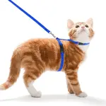 Cat leash collar for Cats