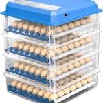 200 Eggs incubator
